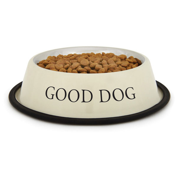 dog bowl
