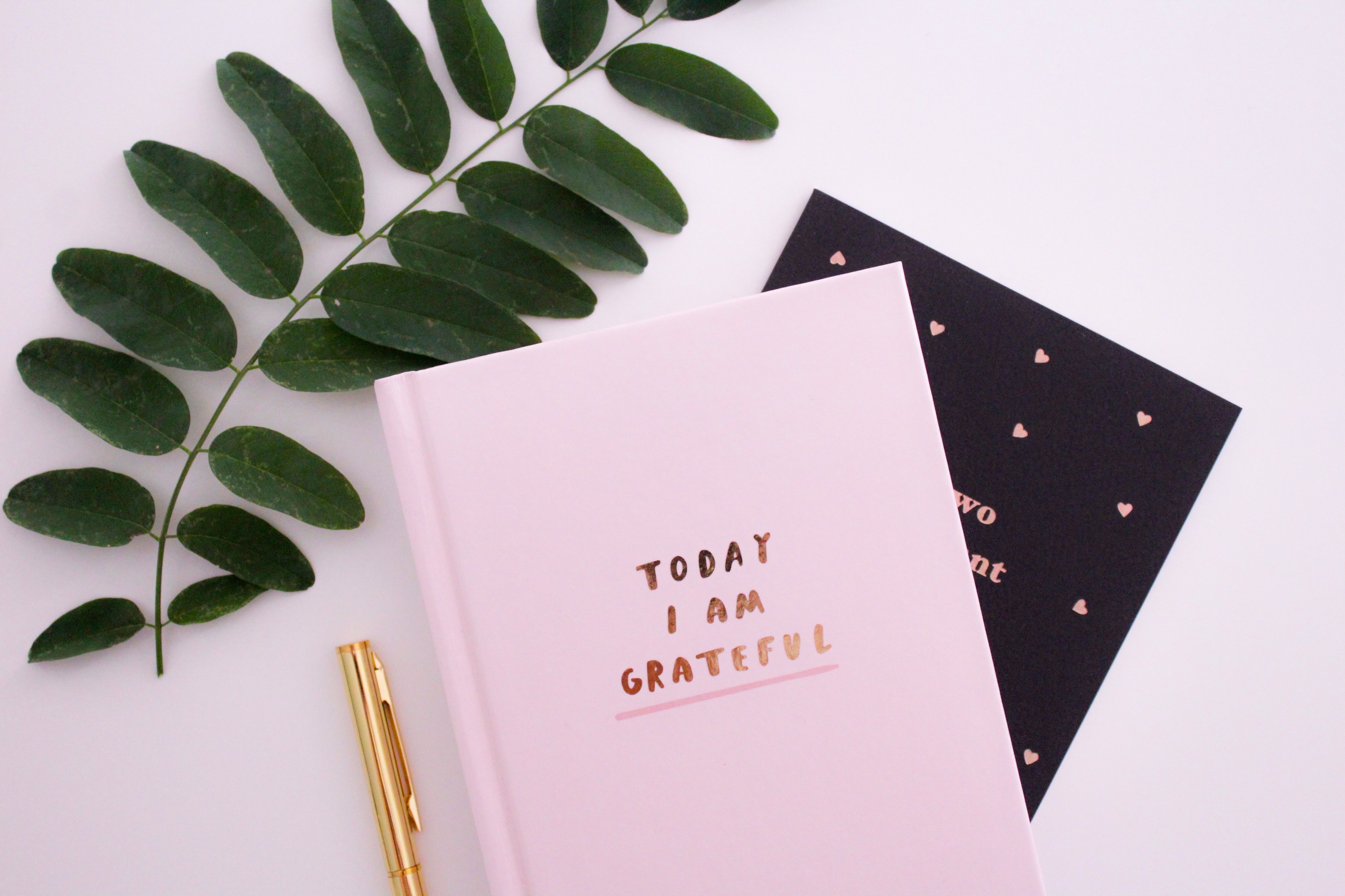 Two Journals